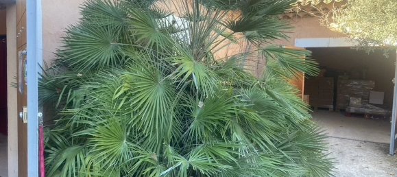 Gewerbliche Immobilie in Tourtour, France 235m², Nr. 821 3