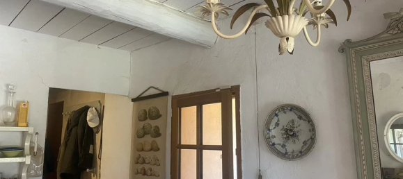 Gewerbliche Immobilie in Tourtour, France 235m², Nr. 821 2