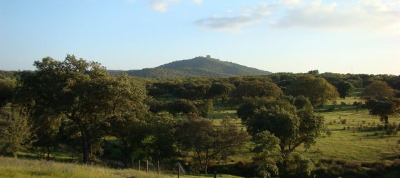 4 bedrooms Castles in Vimieiro, Portugal No. 145791 18