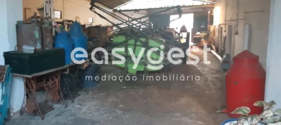 4 chambres Maison à Cabeca Gorda, Portugal No. 33502 13