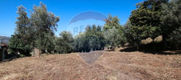 Casa de 3 dormitorios en Abadim, Portugal No. 40689 10