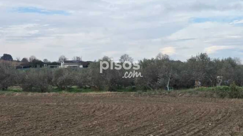 Imóvel comercial em Chartered Community of Navarre, Spain N.º 143624