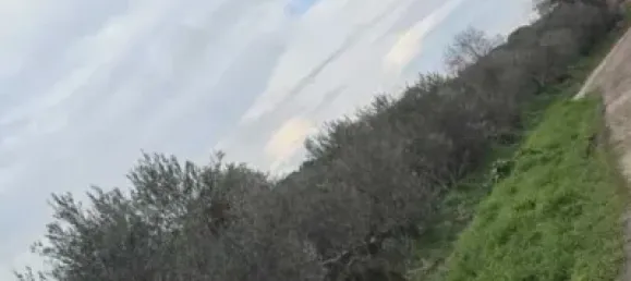 Imóvel comercial em Chartered Community of Navarre, Spain N.º 143624 3