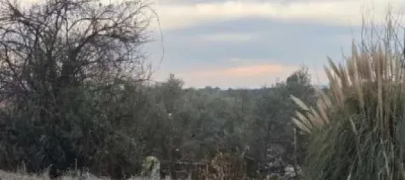 Imóvel comercial em Chartered Community of Navarre, Spain N.º 143624 2