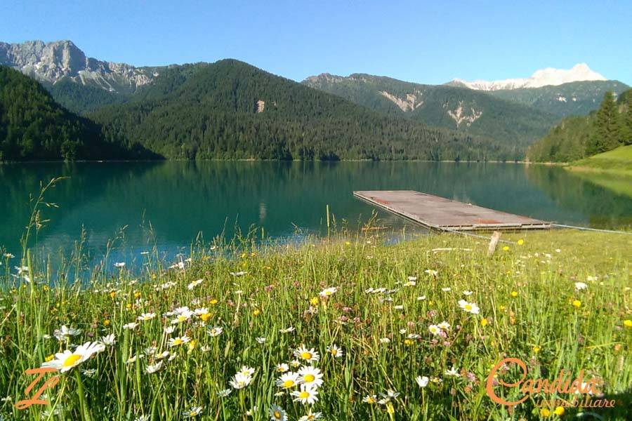 5-salle Propriété commerciale à Udine, Italy No. 213930