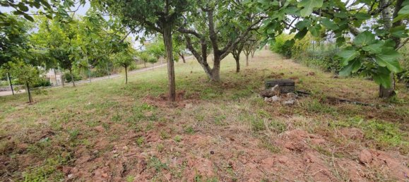 2 غرف نوم منزل في Torres Vedras, Portugal رقم 46270 8