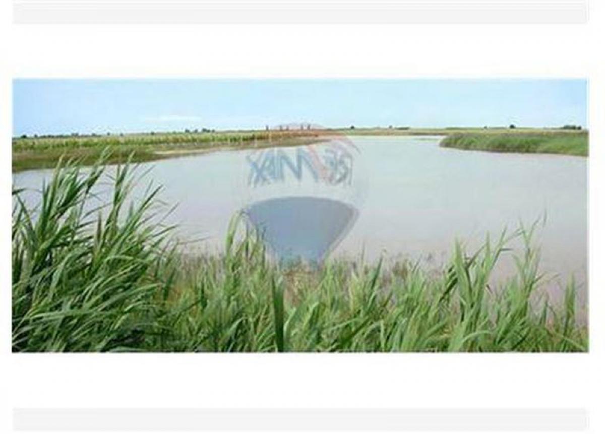  Land in San Vicente, Argentina No. 48229