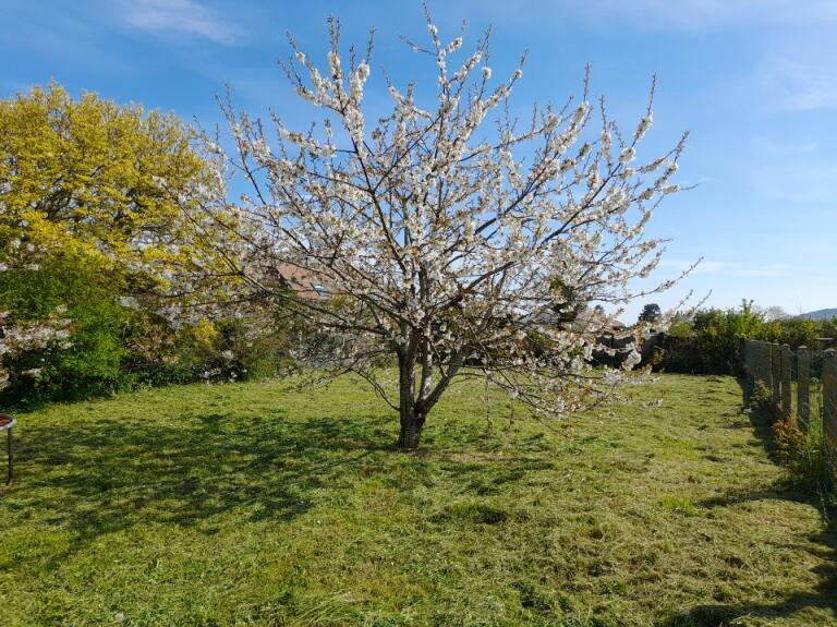 4 bedrooms House in Neufchatel-Hardelot, France No. 50124