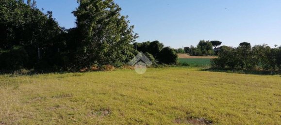 4900m² Land in Gatteo, Italy No. 204870 6