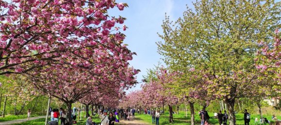 Apartamento de 5 dormitorios en Lichterfelde, Germany No. 329187 37