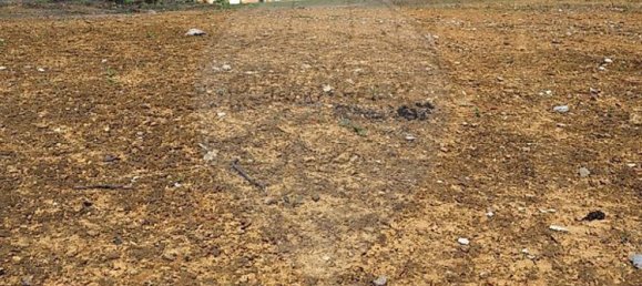 Grundstück in Mafra, Portugal 15262m², Nr. 127335 11