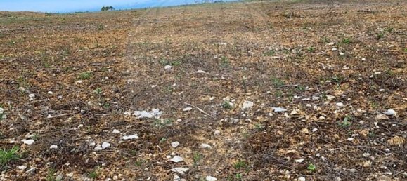 Grundstück in Mafra, Portugal 15262m², Nr. 127335 9