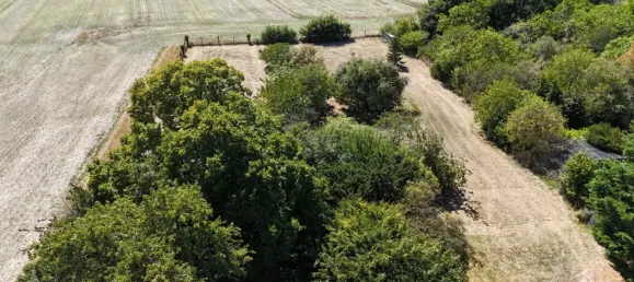 4غرفة منزل في Luzille, France رقم 351943 27