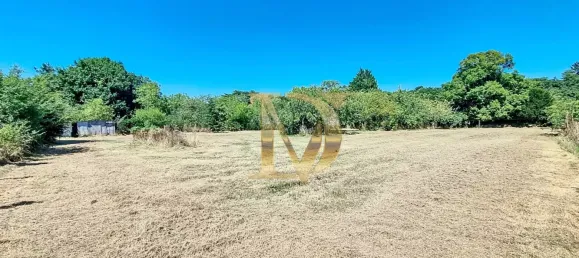 4غرفة منزل في Luzille, France رقم 351943 22