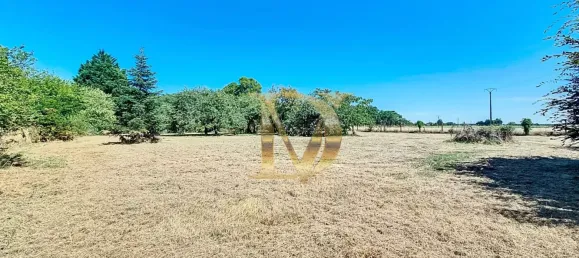 4غرفة منزل في Luzille, France رقم 351943 7