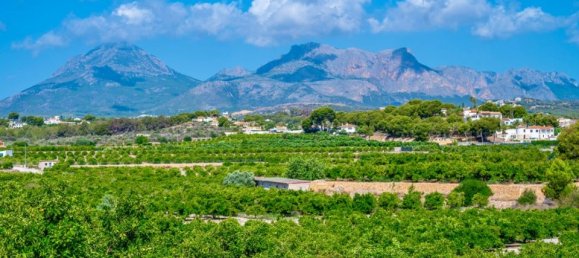 5 Schlafzimmer Haus in Alicante, Spain, Nr. 184752 4