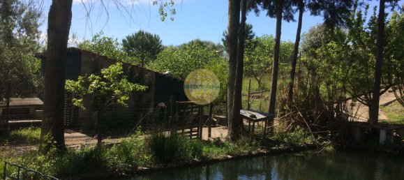 Вилла с 4 спальнями в Сантарен, Португалия № 142634 5