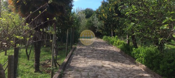 Вилла с 4 спальнями в Сантарен, Португалия № 142634 3