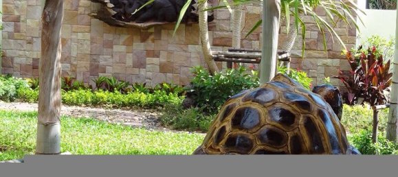 5 bedrooms Villa in Phuket, Thailand No. 3160 6