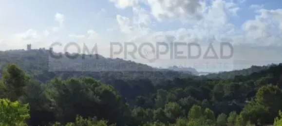 Grundstück in Palma de Majorca, Spain, Nr. 170078 22