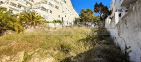 Grundstück in Palma de Majorca, Spain, Nr. 170078 5