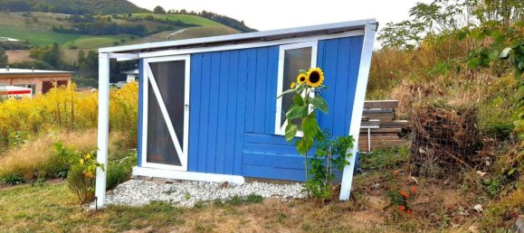 3 rooms House in Schwarzenbach, Austria No. 159983 27