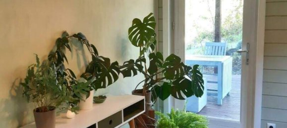 3 rooms House in Schwarzenbach, Austria No. 159983 11