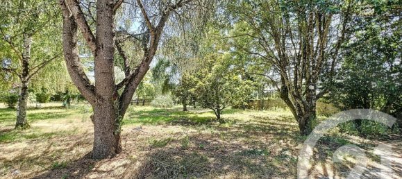 4 bedrooms Villa in Chanceaux-sur-Choisille, France No. 70788 2