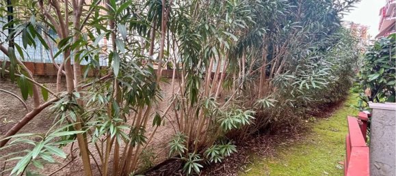 6 rooms Apartment in Ancona, Italy No. 150019 25