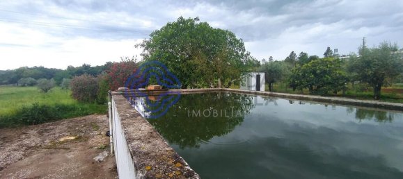 3 bedrooms House in Torres Novas, Portugal No. 14502 27