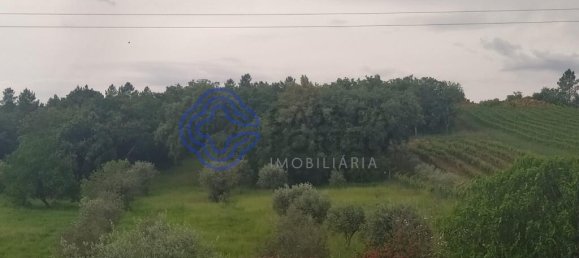 3 bedrooms House in Torres Novas, Portugal No. 14502 32