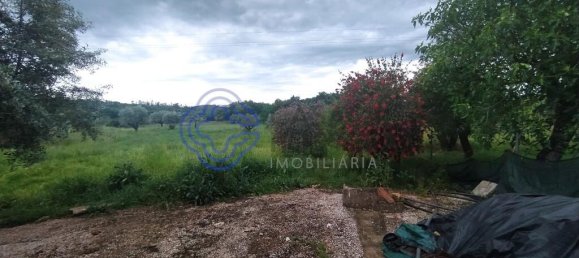 3 bedrooms House in Torres Novas, Portugal No. 14502 29