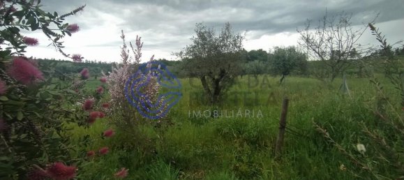 3 bedrooms House in Torres Novas, Portugal No. 14502 31