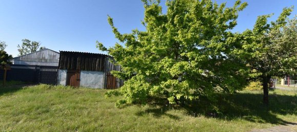 6 rooms House in Markisch-Oderland, Germany No. 340459 13