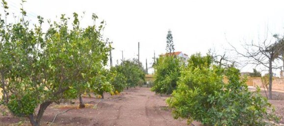 3 غرف نوم فيلا في Paphos, Cyprus رقم 10534 15