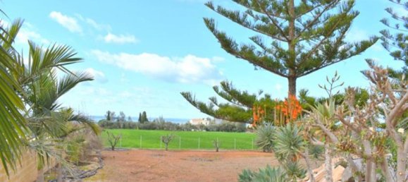 3 غرف نوم فيلا في Paphos, Cyprus رقم 10534 13