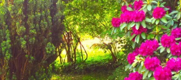 6 rooms Townhouse in Vogelsbergkreis, Germany No. 51163 8