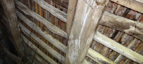 1 Schlafzimmer Haus in Saint-Gondon, France, Nr. 231312 10