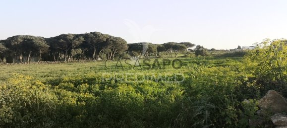 Grundstück in Quarteira, Portugal, Nr. 190615 4