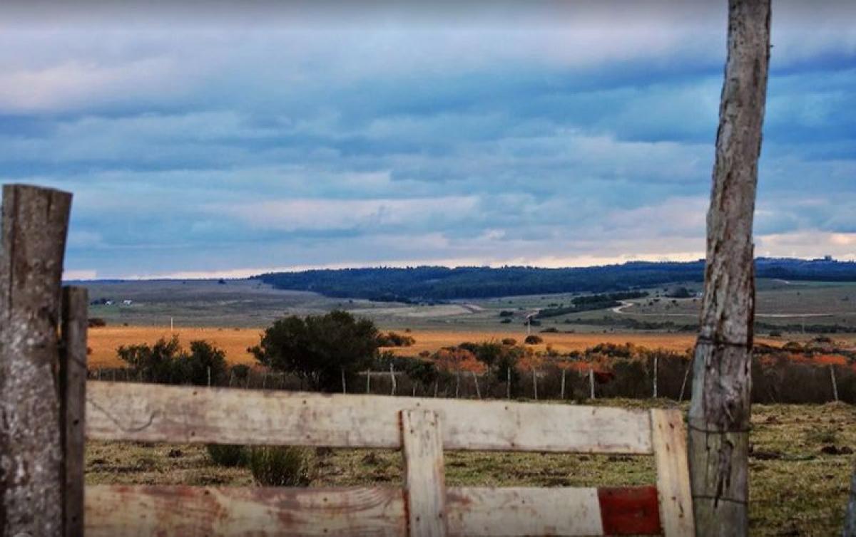  Farm in Maldonado, Uruguay No. 15312