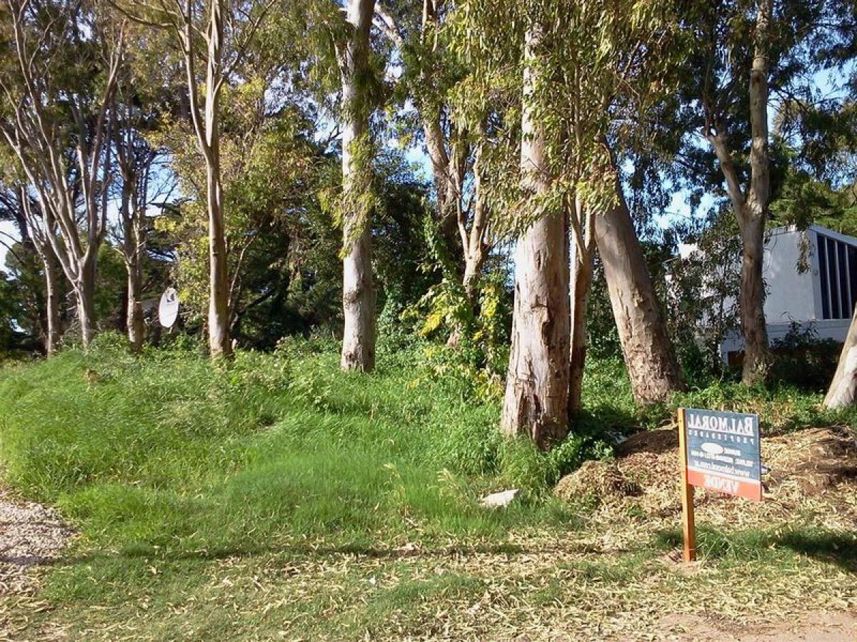  Land in Mar del Plata, Argentina No. 120482