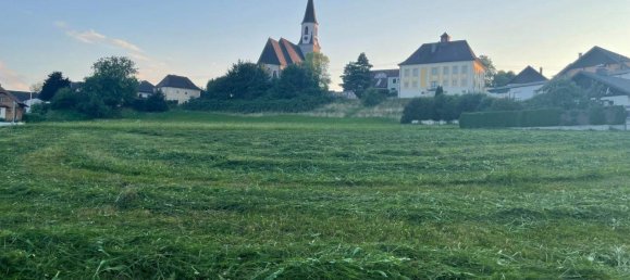 8-Zimmer Haus in Ohlsdorf, Austria, Nr. 225231 20