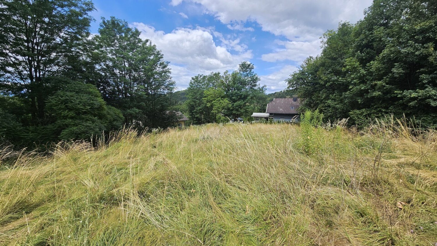  Land in Poggersdorf, Austria No. 226085