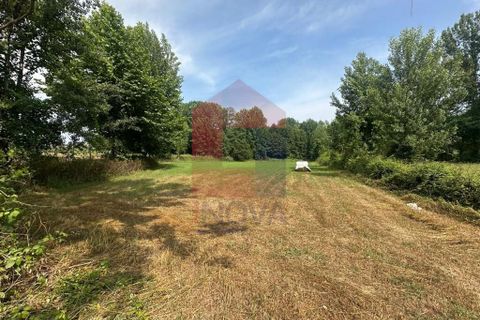 Земельный участок 3800м² в Брага, Португалия № 306863