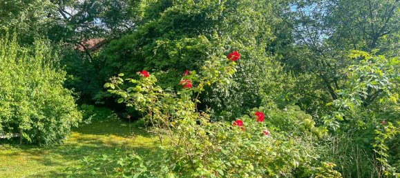 3 rooms House in Harmannsdorf, Austria No. 72886 4