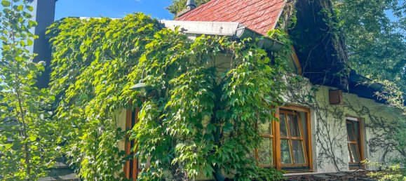 3 rooms House in Harmannsdorf, Austria No. 72886 2