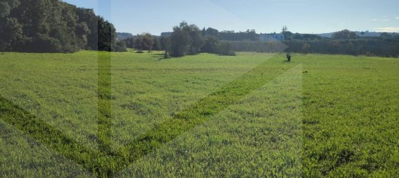 Terrain à Monopoli, Italy 15000m² No. 21647 5