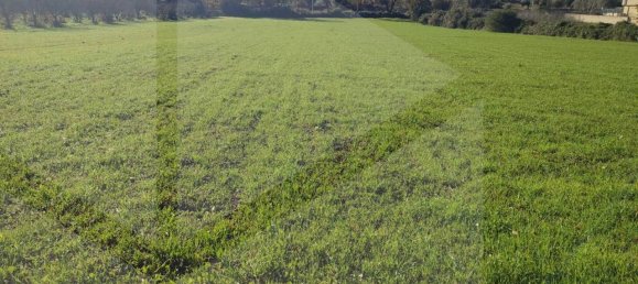 Terrain à Monopoli, Italy 15000m² No. 21647 3