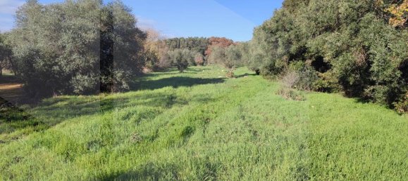 Terrain à Monopoli, Italy 15000m² No. 21647 6