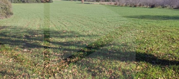 Terrain à Monopoli, Italy 15000m² No. 21647 2